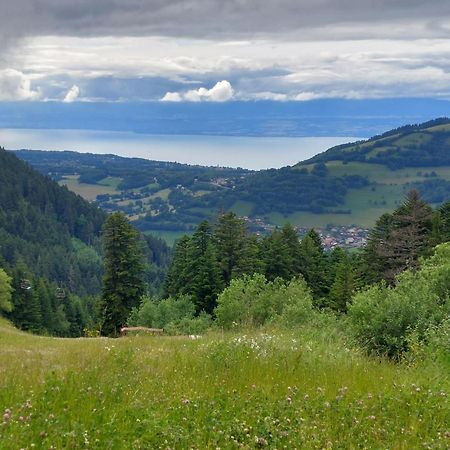 Studio Bernex Dent D'Oche Lägenhet Exteriör bild