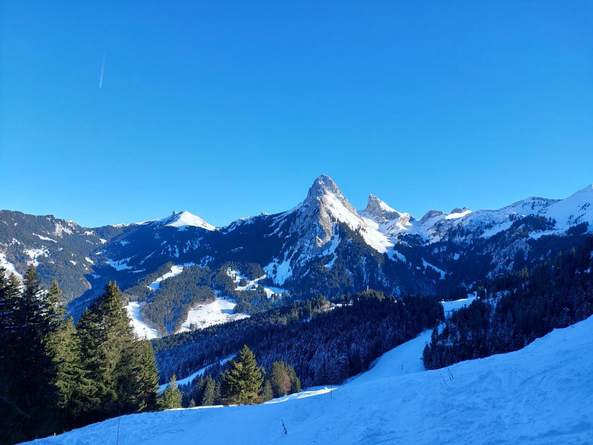 Studio Bernex Dent D'Oche Lägenhet Exteriör bild